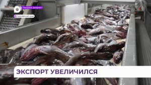 Опубликованы последние данные о поставках рыбы и морепродуктов из Приморья за рубеж