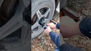 Гайковерт WORX wx279 обзор