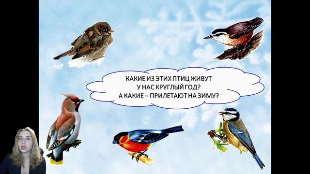 Видеоурок по теме «Птицы зимой». Н.С. Матюшенко