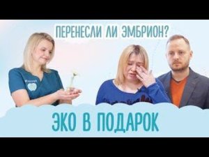 ЭКО В ПОДАРОК. Перенос эмбриона. 8 сезон 6 выпуск
