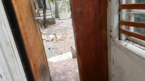 ШАХТЕРЫ, ЯЛТА ЖДЕТ ВАС В САНАТОРИИ "ГОРНЯК" !
