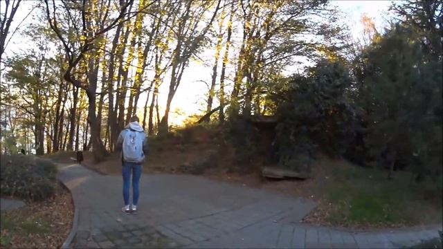 Тропа здоровья в Сочи  //  Отличная погода в ноябре  //  Терренкур смотреть онлайн