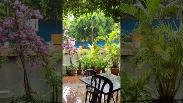 Что посмотреть в Малайзии? Малакка (Malacca, Malaysia)