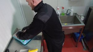 Проработка на кухне африканского клариевого сома