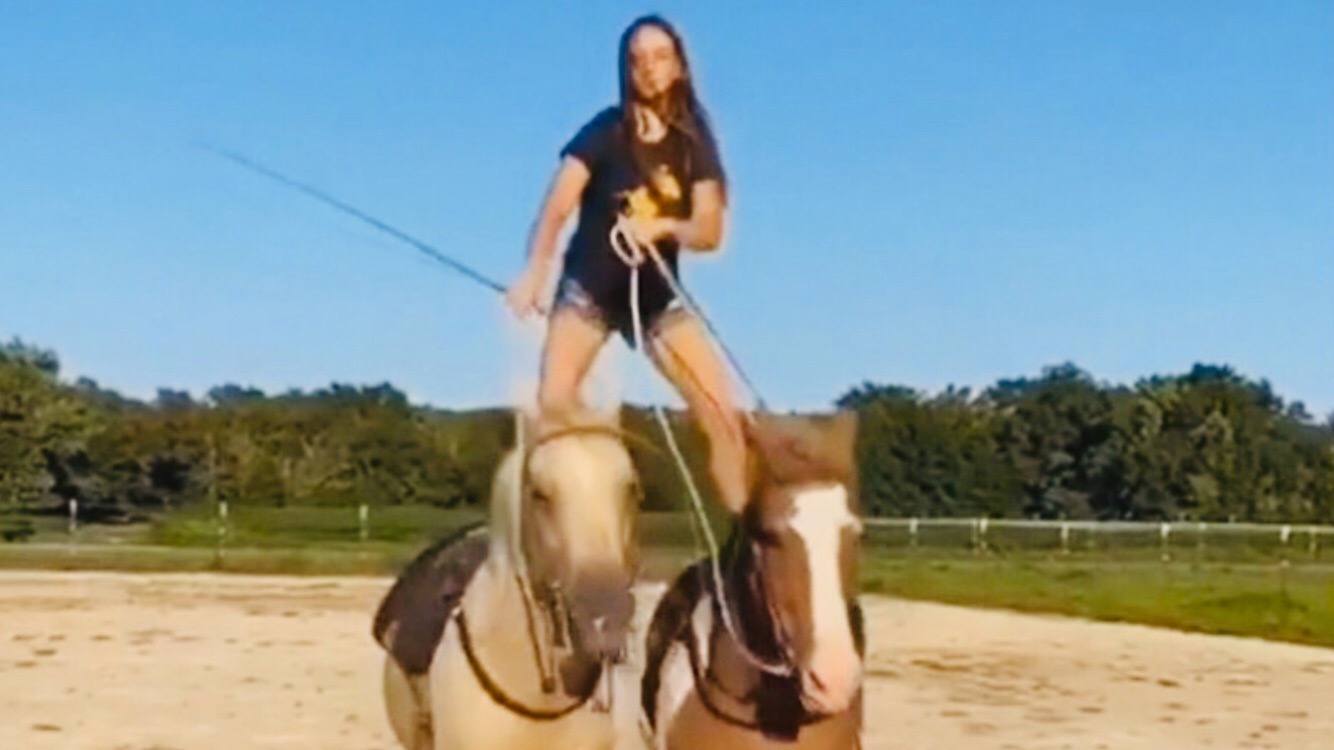 ПРИКОЛЫ С ЛОШАДЬМИ-ЛЯЯ!!!FUNNY HORSES-СМЕШНЫЕ ЛОШАДИ- CUTE ANIMALS(HORSES)/Funny jokes with horses