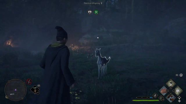 AVADA KEDAVRA EXPERIENCE.exe смотреть онлайн