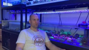 «Рифовый Аквариум» Созревание Системы. Часть 23