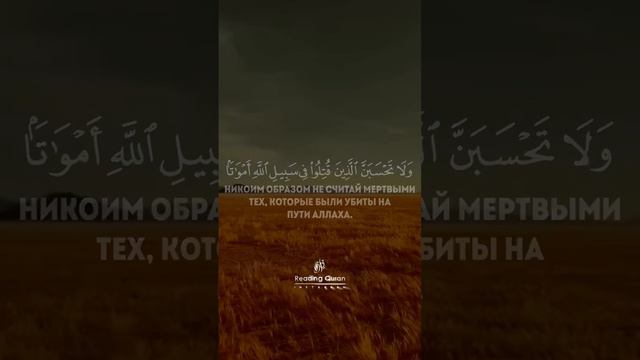 Джалил Аш-Шишани #quran #islam #islamic #muslim