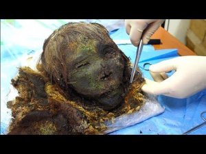 Шокирующие Вещи, Найденные Во Льдах