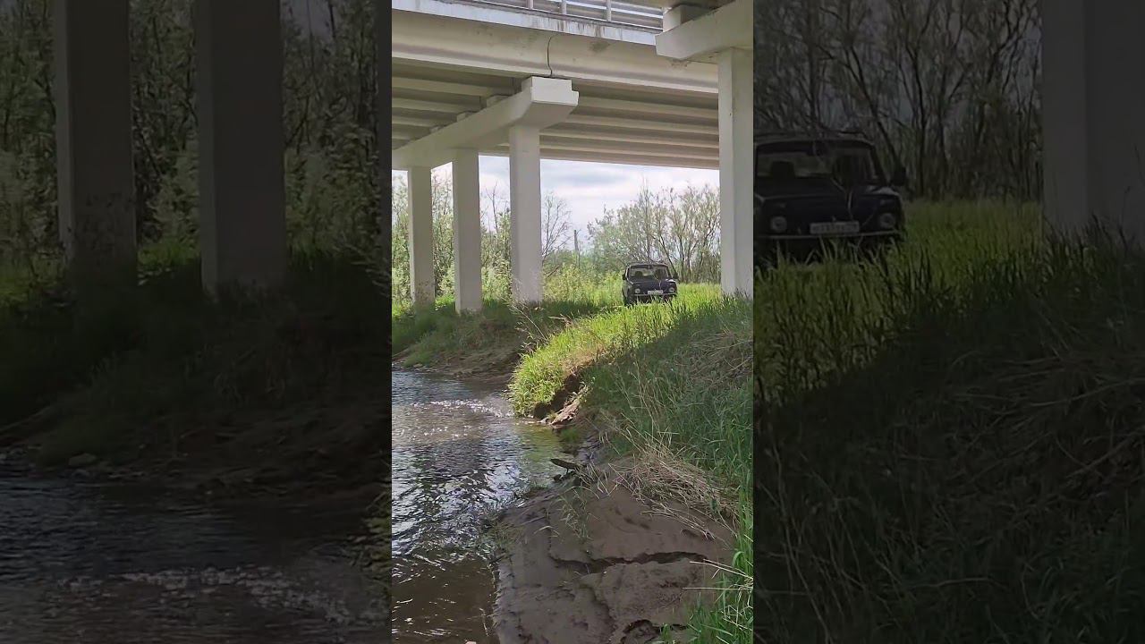 Мирный хищник из под травы нива4x4