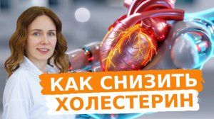 Причины ПОВЫШЕННОГО холестерина | Добавки для СНИЖЕНИЯ холестерина