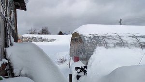 Теплицы из ПЭТ бутылок. Часть 3.