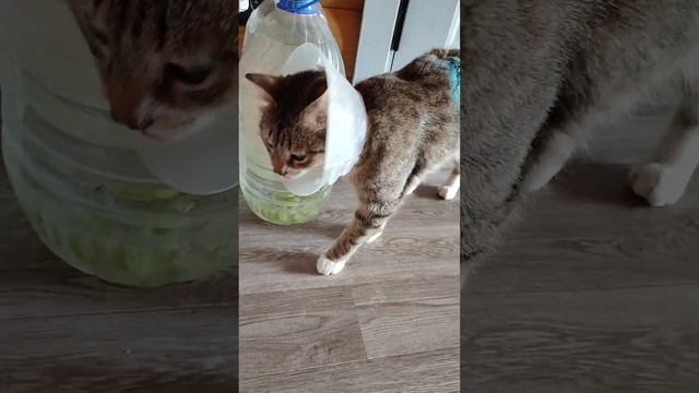 24 марта 2023 г. смотреть онлайн