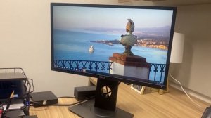 Dell Professional P2317H 23' Screen LED Lit Monitor Review, Great Display Quality And Durable Too!