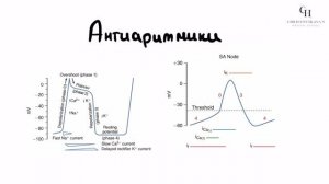 Антиаритмики | Фармакология