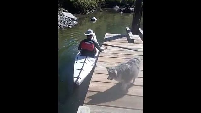 origami kayak смотреть онлайн
