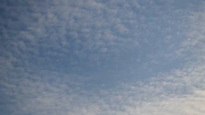 От людей на деревне не спрятаться. Баян Рубин 5.