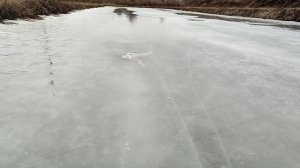 Пруд возле дома , первая зима , разведение раков в домашних условиях)