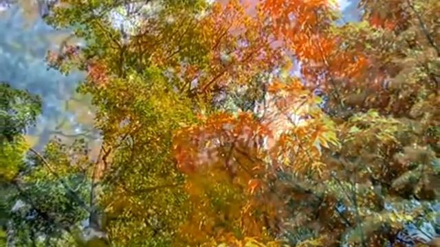 СТИХИ ОСЕНИ смотреть онлайн