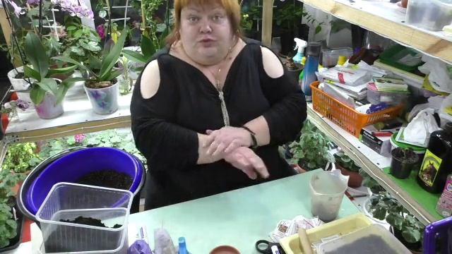 посев петунии, посев колеусов и семян других цветов..часть 5 смотреть онлайн