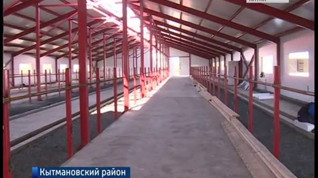 Строительство молочной фермы на 200 голов