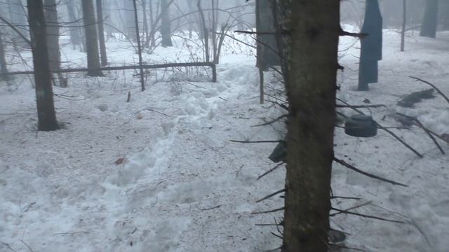 ПВД с ночевкой. Московская обл. река Волгуша - Парамоновский овраг