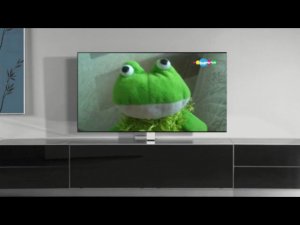 ОФИЦИАЛЬНЫЙ ТРЕЙЛЕР КАНАЛА ЧЕРЕПУХУС!