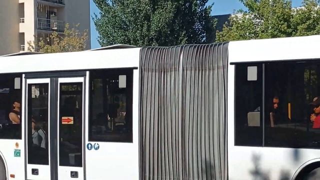 МАЗ 216.066 на 46 маршруте смотреть онлайн