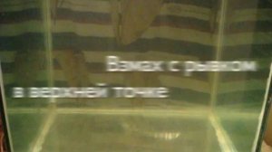 Зимняя блесна "Полуромб"