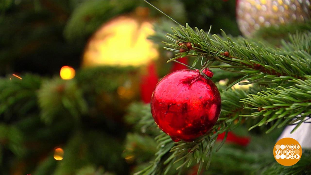 Индекс елочек. Доброе утро. Фрагмент выпуска от 23.12.2019