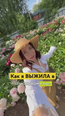 500 сортов пионов на 1 участке! 1200 кустов