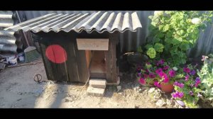 🏠Тёплая будка для собаки🐕