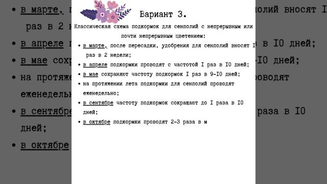Схемы подкормки фиалок. Кратко и по делу