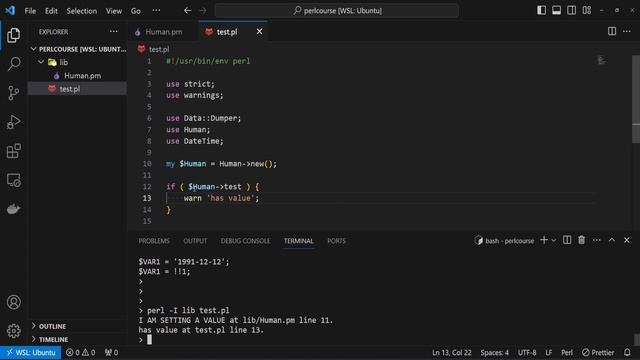 Perl Mouse (OOP) #4: Attributes - Advanced Concepts