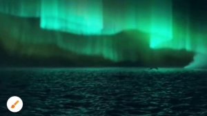 Беззубик и Дневная фурия - Если б каждый король