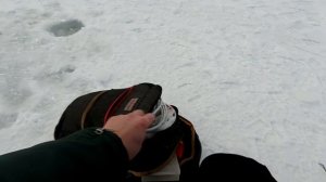 Ловля щуки зимой! Ловля щуки на зимние жерлицы и балансир