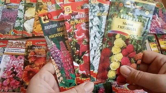 Семена цветов. Неприхотливые однолетники и многолетники.