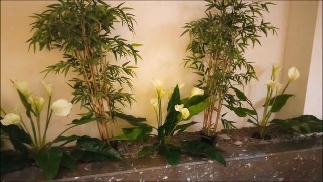 Консоль Спорт "Никита" SPA ЦЕНТР, 17 апреля 2022 г. смотреть онлайн