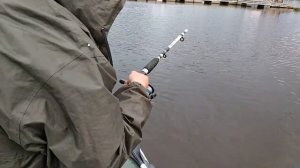 За сомом на Волхов второй раз, мы это сделали! 0.6кг, 15кг, 30кг