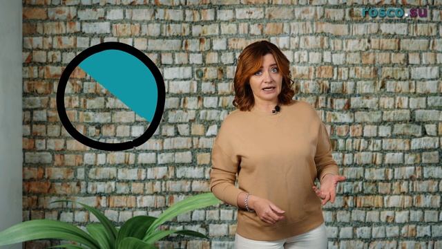 В чем разница между ВНЖ, ПМЖ и гражданством?