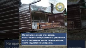 Поведение при сильном ветре