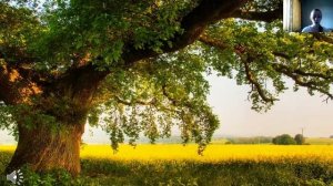 ОРКСЭ Природа   волшебные двери к добру и доверию 4 класс Чувашова С  Н