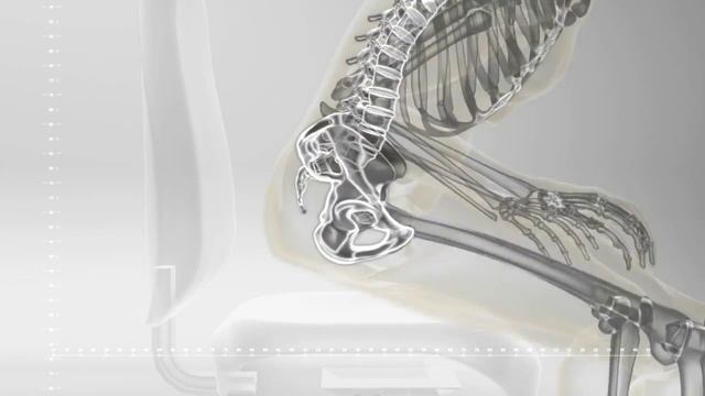 Эрготерапевтический специальный стул-седло без спинки | Bambach (Австралия) смотреть онлайн