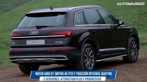 Audi Q7: motor 45 TFSI y tracción integral quattro