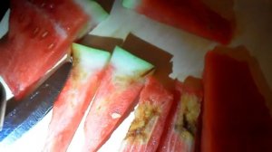 Червивый арбуз. Вы знали, что в арбузах тоже попадаются червяки? Покупка арбуза.