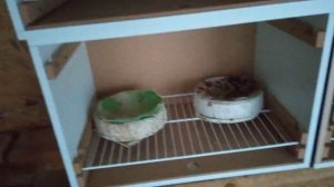 Новая голубятня на 8 пар. Олег Костяков, т.+7(927)6513003