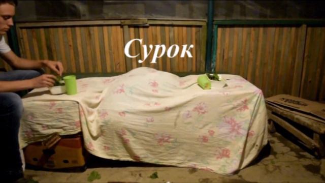 Как едят животные(русская версия) смотреть онлайн