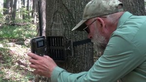 Волжско-Камский заповедник