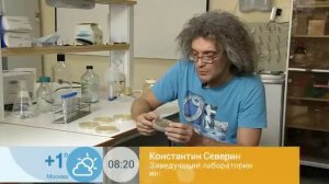 Константин Северинов: институт биологии гена