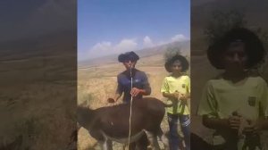 Шогирдхои устод зафар аюби